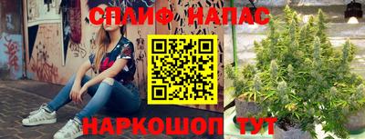 МДПВ Краснодар
