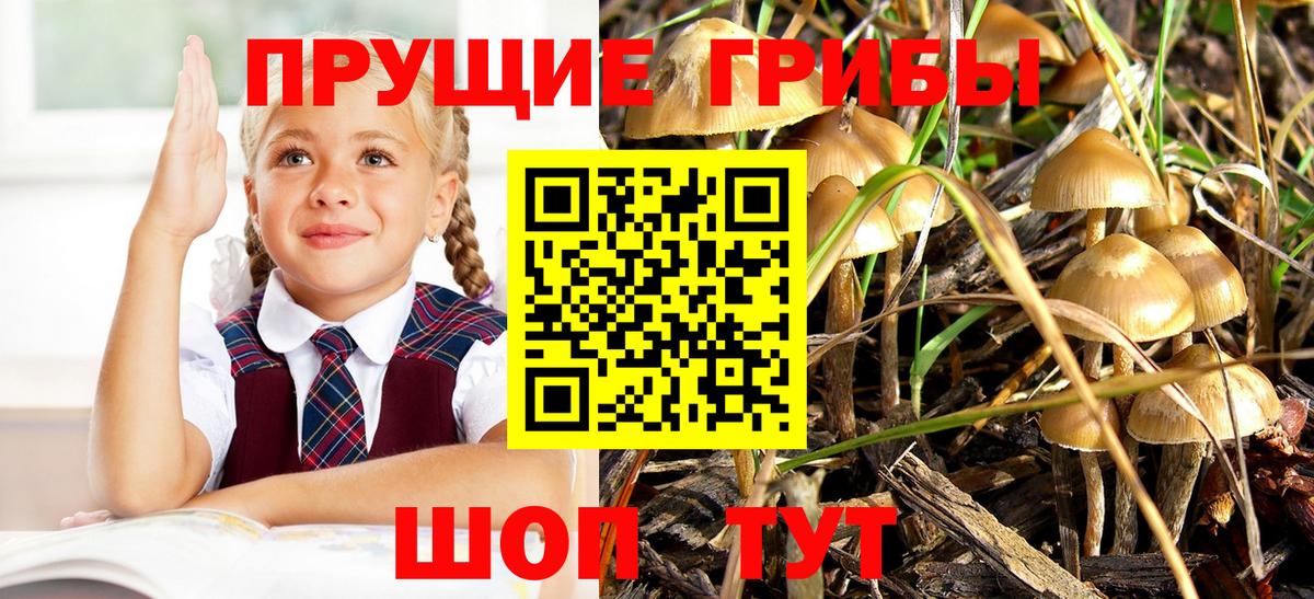 дарнет шоп  Галлюциногенные грибы Magic Shrooms  Галлюциногенные грибы ЛСД  Вход с VPN  Каменск-Уральский 