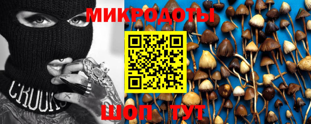 Псилоцибиновые грибы прущие грибы Каменск-Уральский