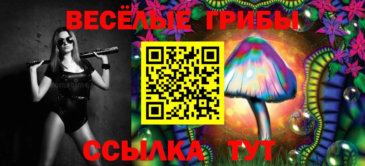 APVP Каменск-Уральский